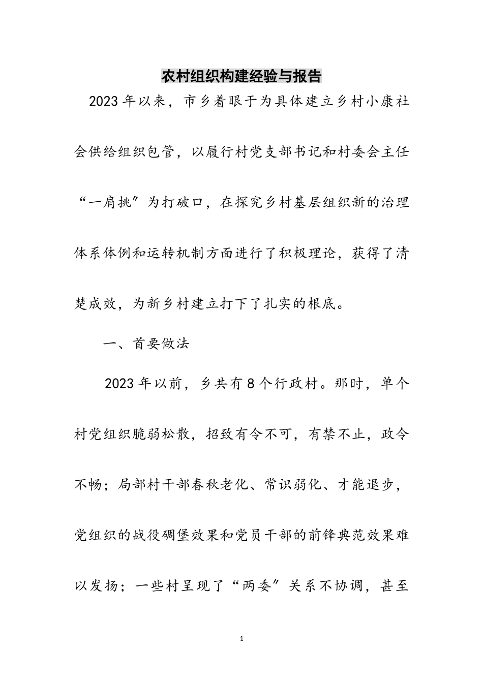 2023年农村组织构建经验与报告范文.doc_第1页