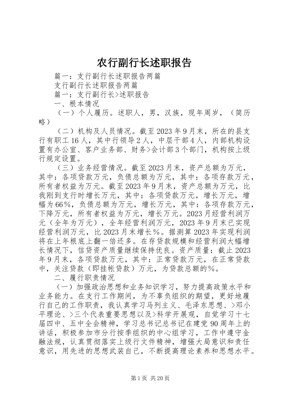 2023年农行副行长述职报告.docx_第1页