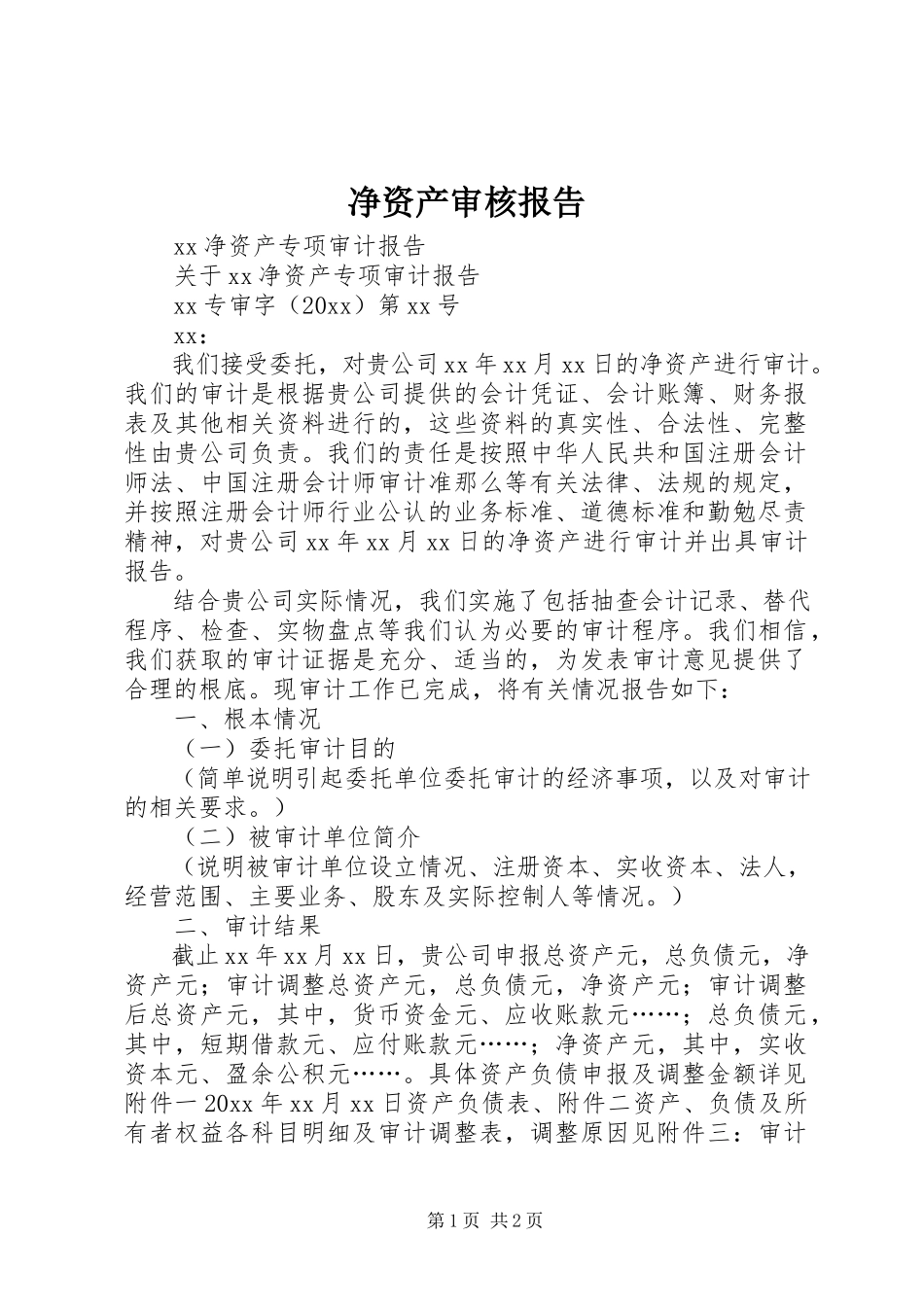2023年净资产审核报告.docx_第1页