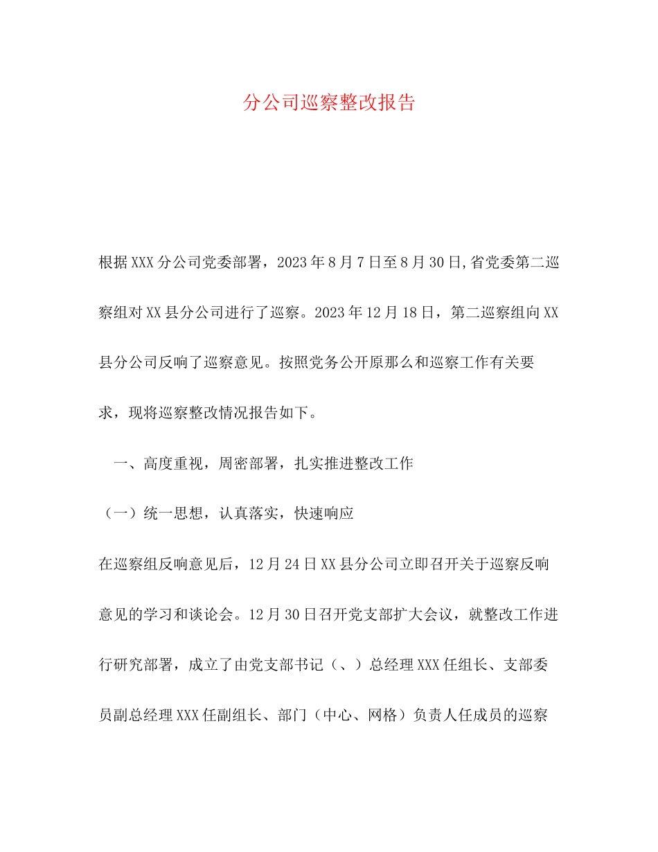 2023年分公司巡察整改报告.docx_第1页