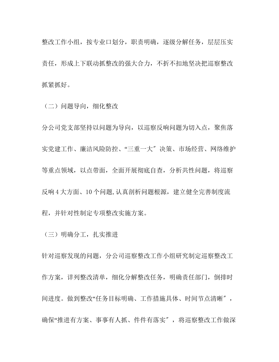 2023年分公司巡察整改报告.docx_第2页