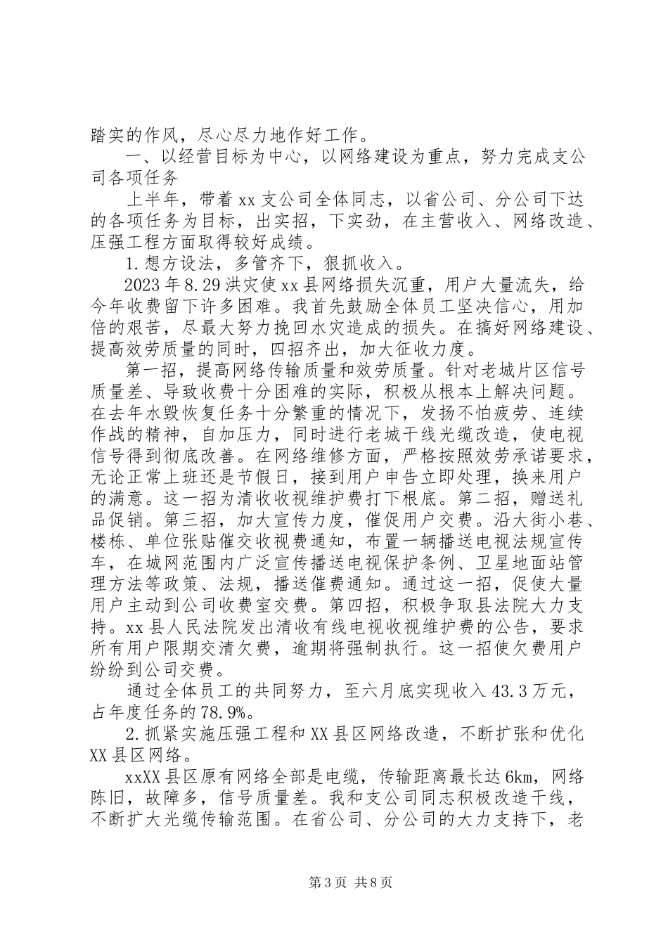 2023年分公司工作总结报告.docx_第3页