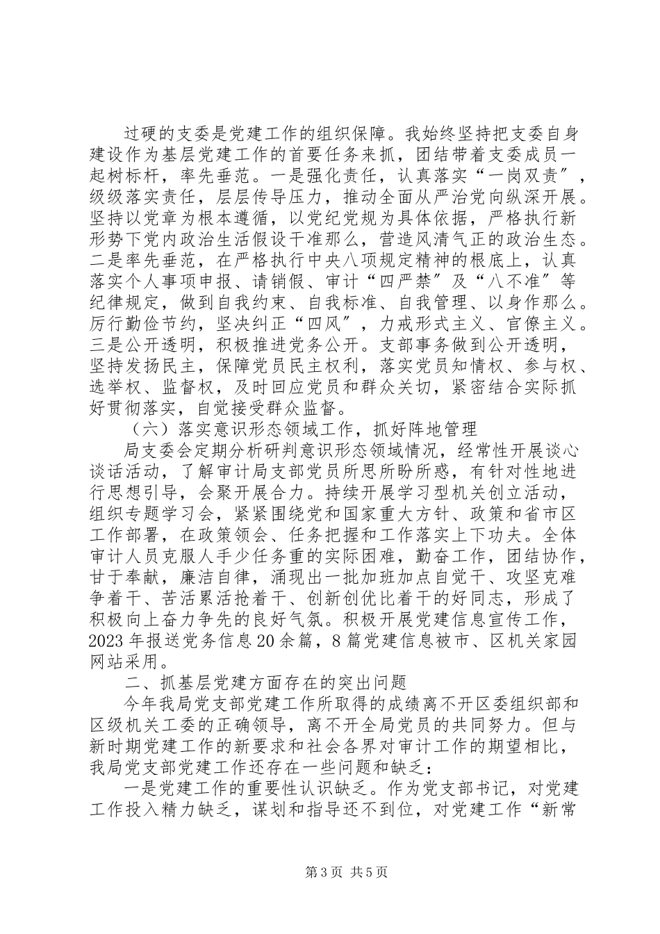 2023年区审计局党支部书记抓基层党建工作述职报告.docx_第3页