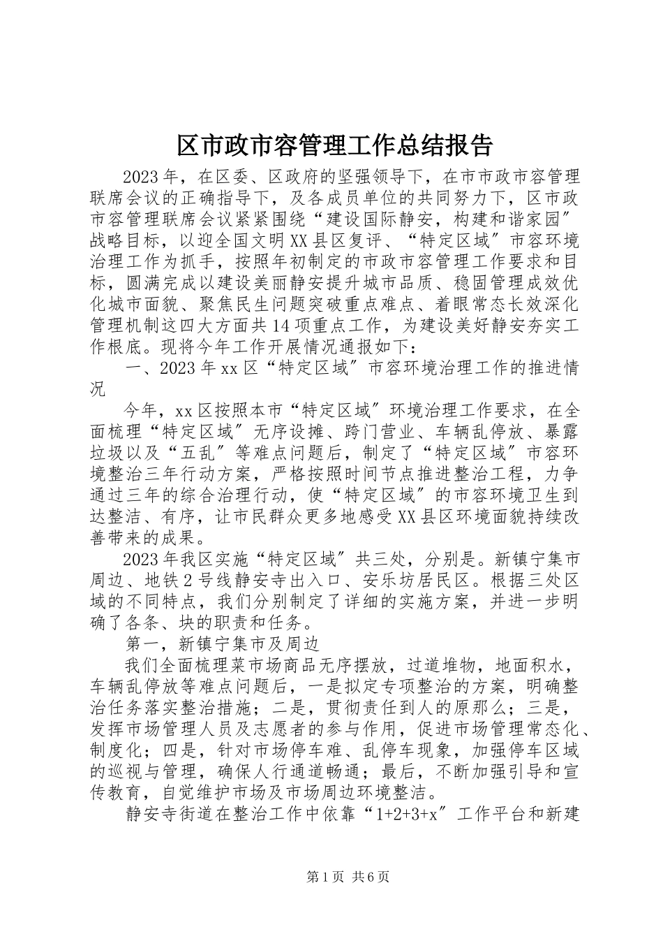 2023年区市政市容管理工作总结报告.docx_第1页