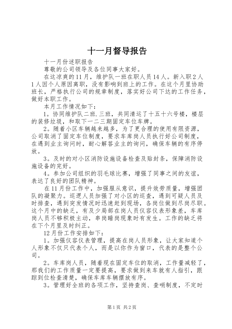 2023年十一月督导报告.docx_第1页