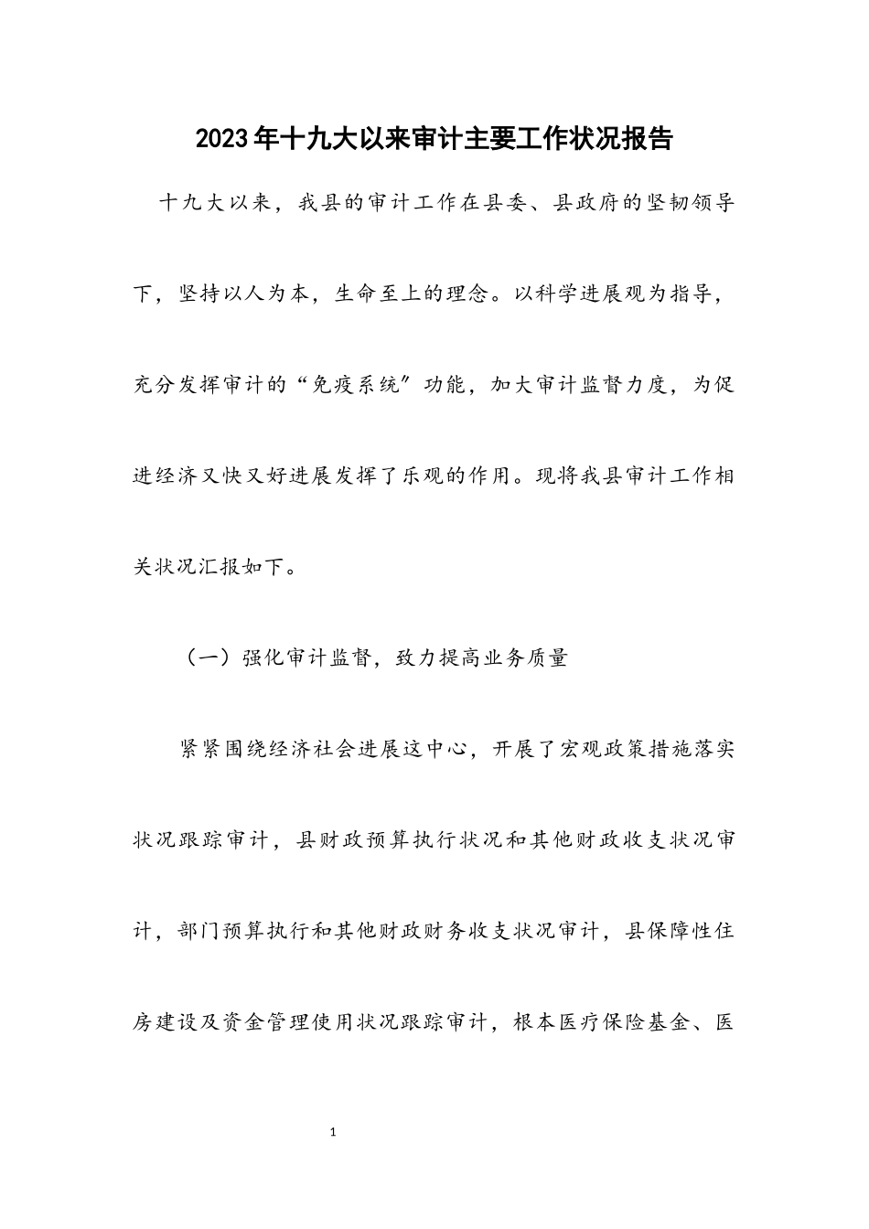 2023年十九大以来审计主要工作情况报告.docx_第1页