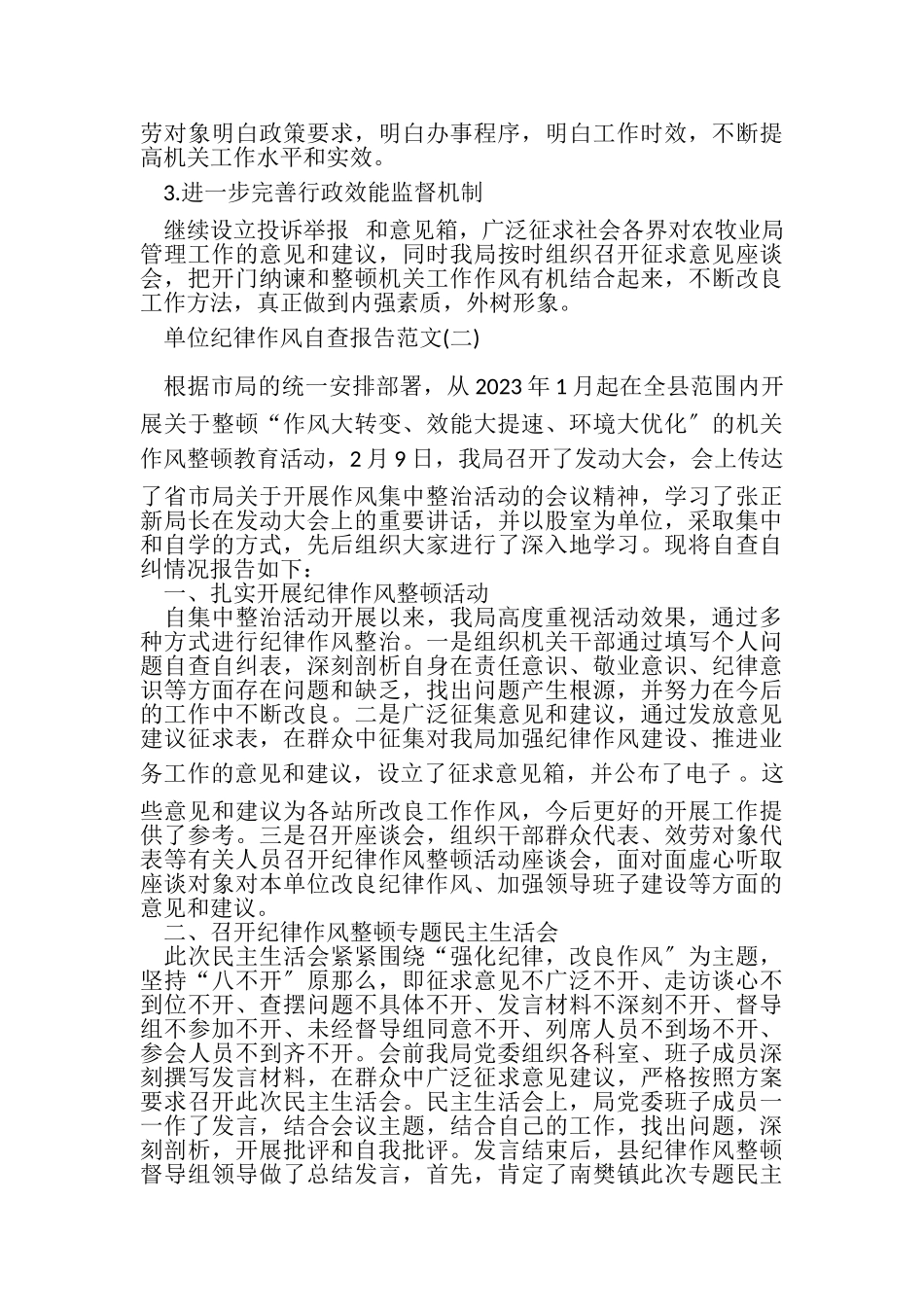 2023年单位纪律作风自查报告例文.doc_第3页