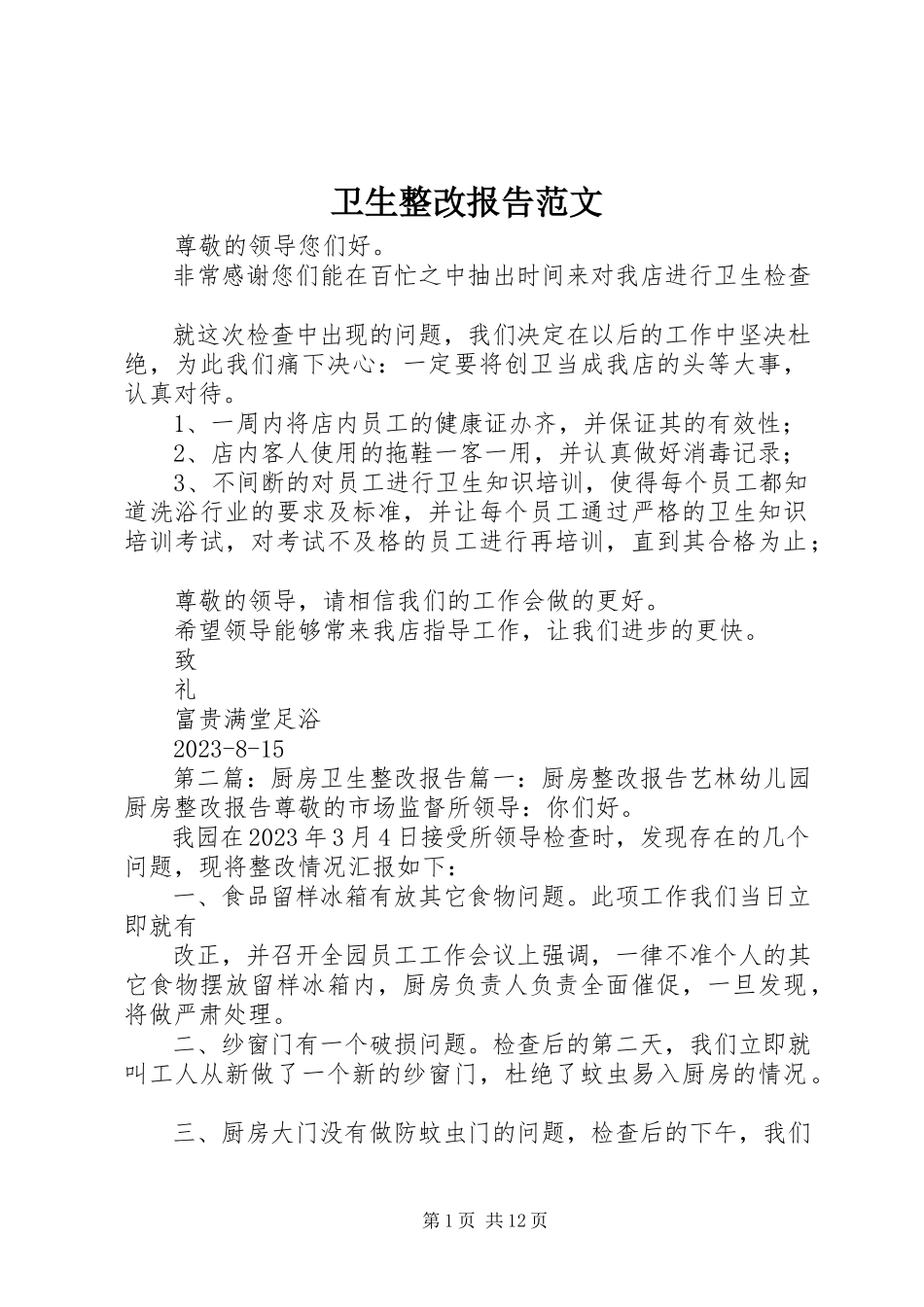 2023年卫生整改报告.docx_第1页