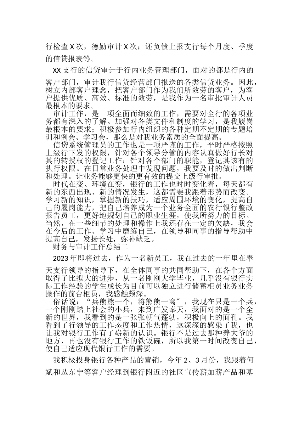 2023年财务与审计工作总结.doc_第2页