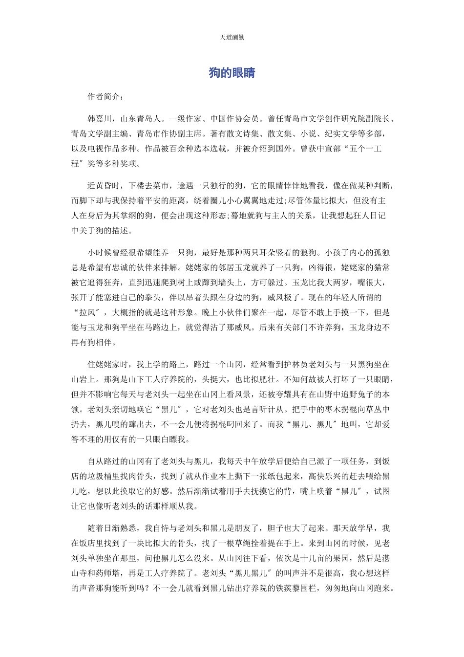 2023年狗的眼睛范文.docx_第1页