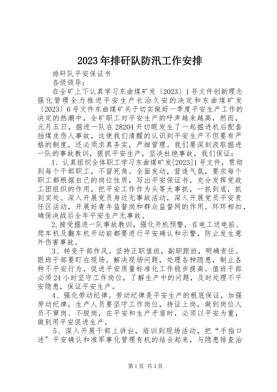 2023年排矸队防汛工作安排.docx_第1页