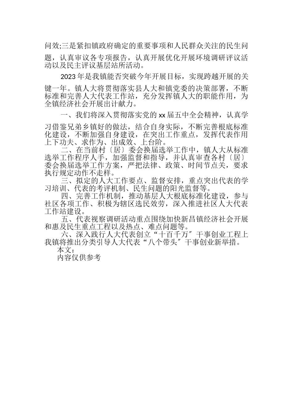 2023年乡镇人大年终工作总结例文.doc_第3页