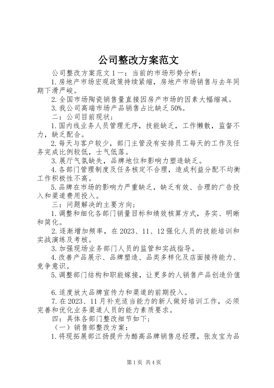 2023年公司整改方案.docx_第1页
