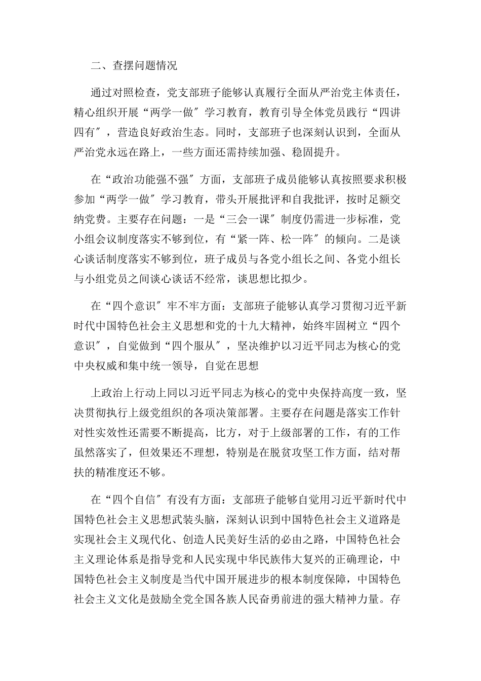 2023年支部班子对照检查材料.docx_第2页