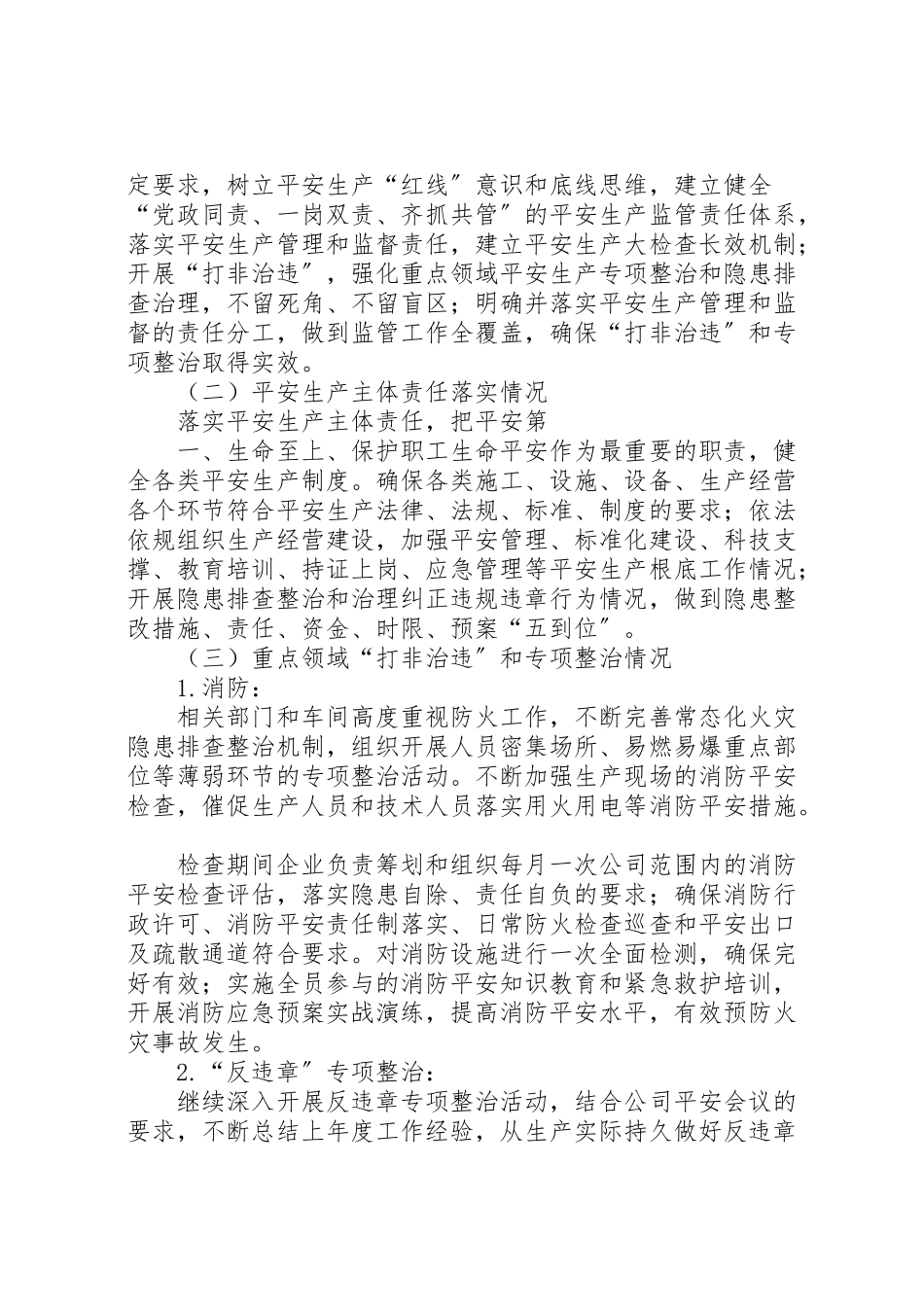 2023年安全大检查方案.doc_第2页