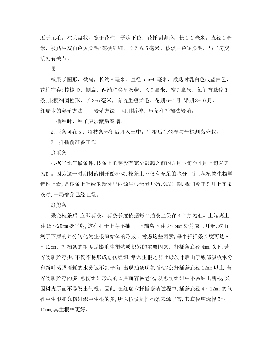 2023年红瑞木花语是什么.docx_第2页