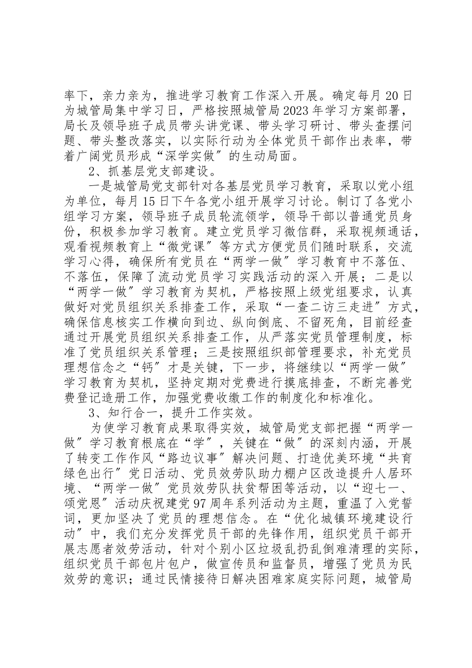 2023年城管局党支部党建品牌创建工作总结.docx_第2页