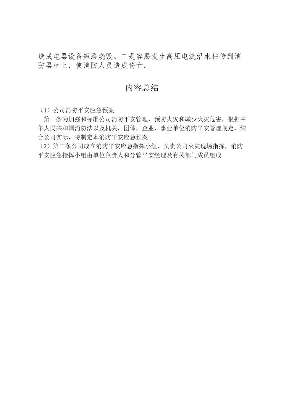 2023年公司消防安全应急预案 2.doc_第3页