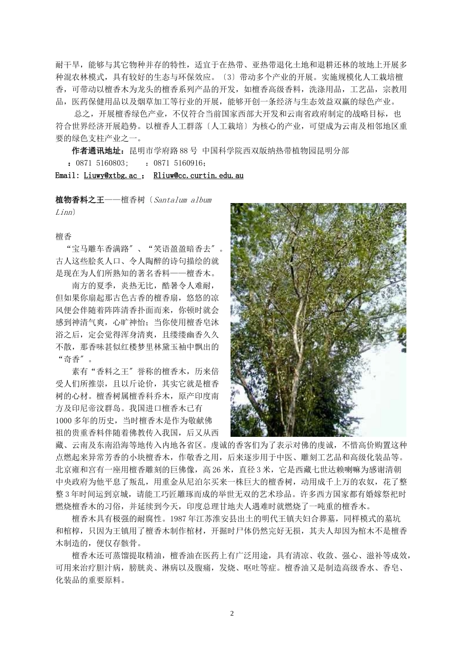 2023年檀香木在西部大开发中的产业化应用前景.doc_第2页