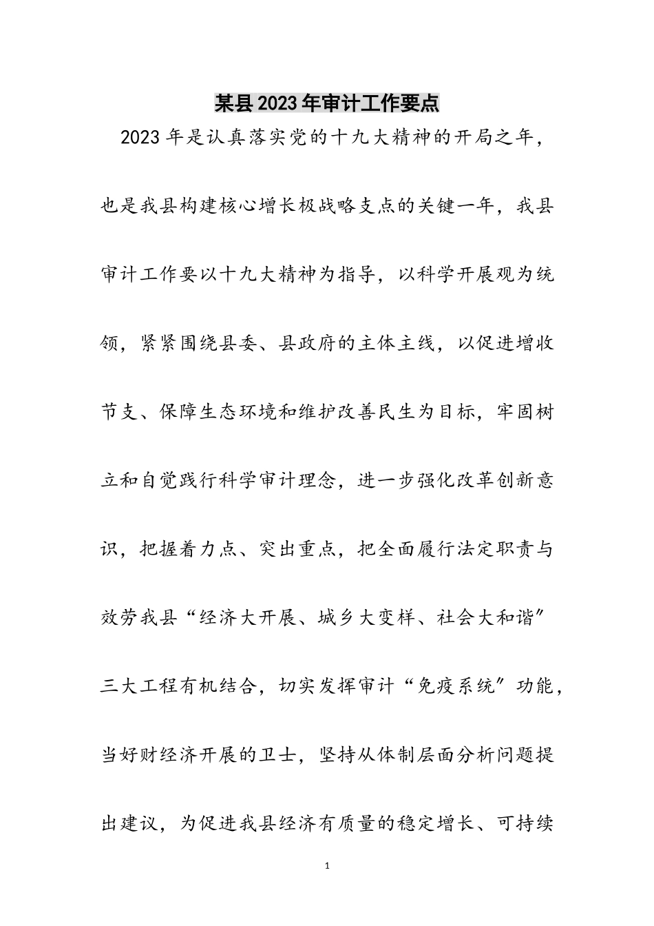 2023年某县年审计工作要点范文.doc_第1页