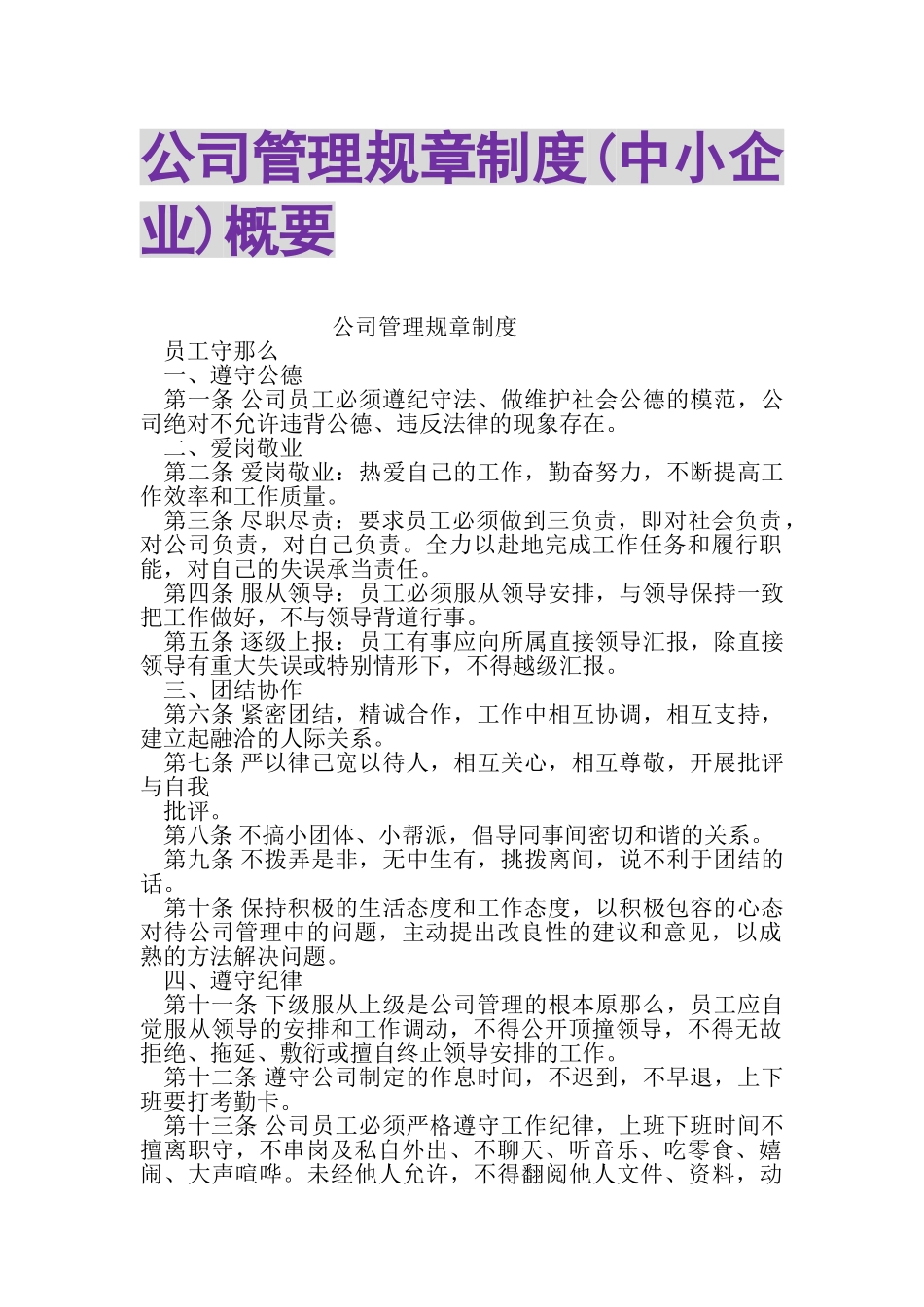 2023年公司管理规章制度中小企业概要.doc_第1页