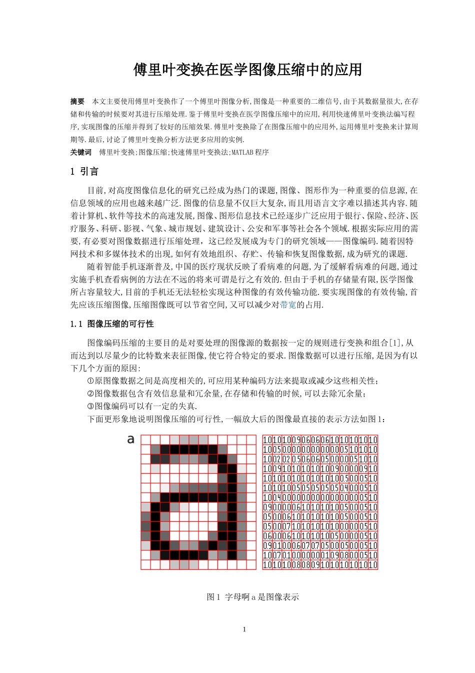 傅里叶变换在医学图像压缩中的应用医学专业.doc_第2页
