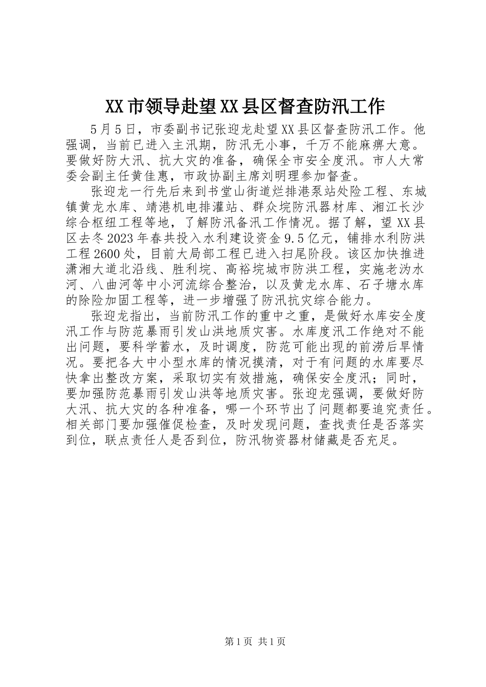 2023年XX市领导赴望XX县区督查防汛工作.docx_第1页