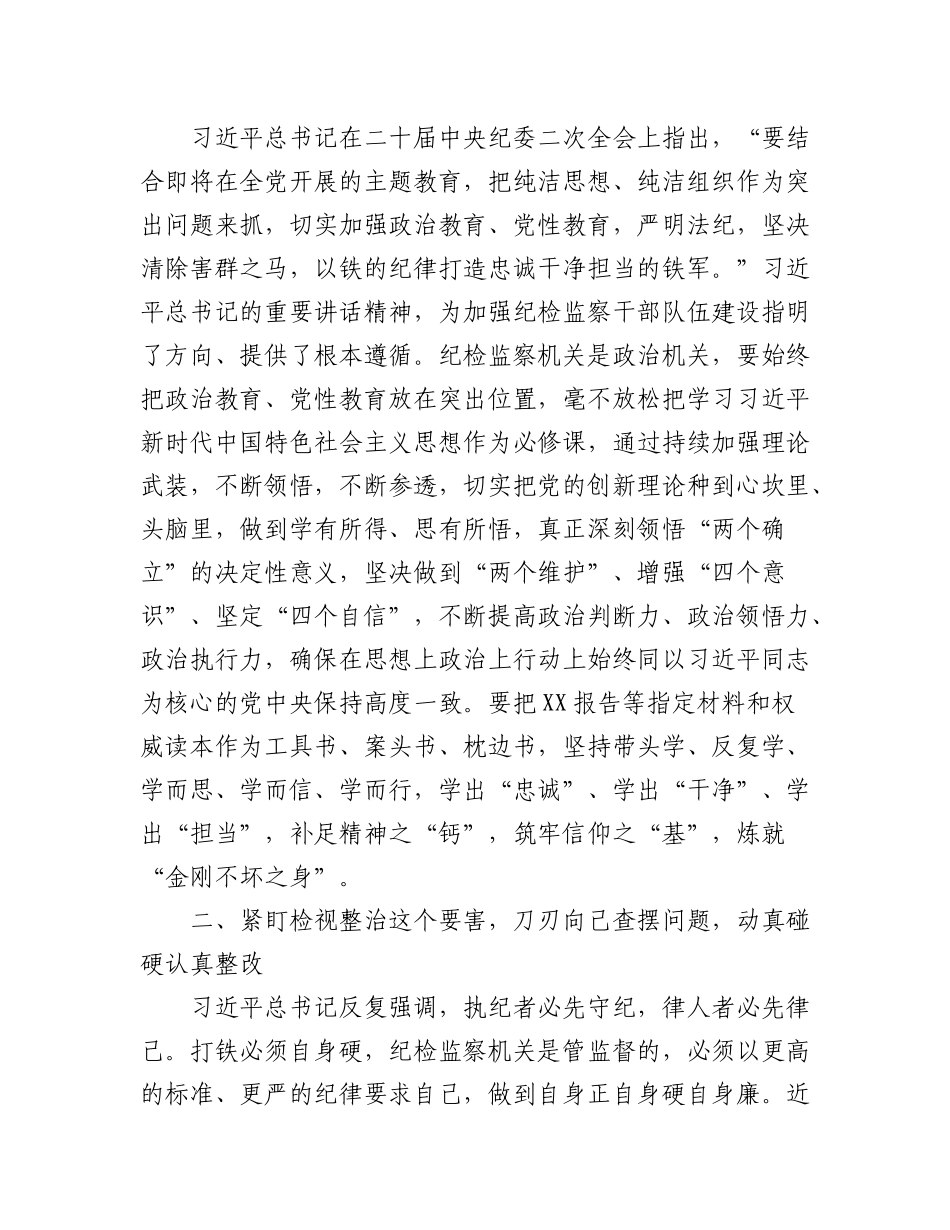 (3篇)2023纪检监察干部队伍教育整顿专题学习研讨心得体会发言材料.docx_第2页