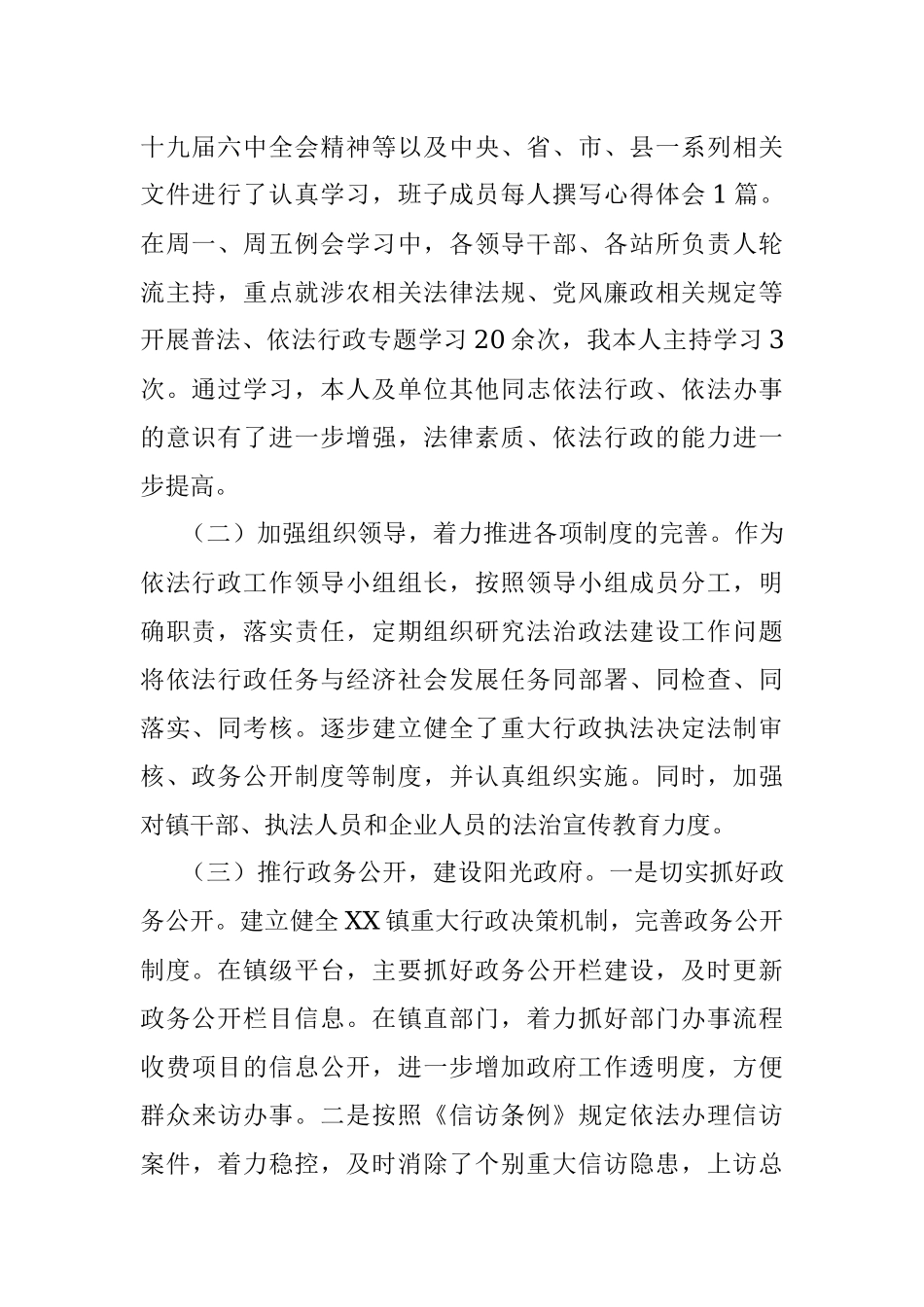 20XX年XX镇党委副书记、镇长述法报告.docx_第2页