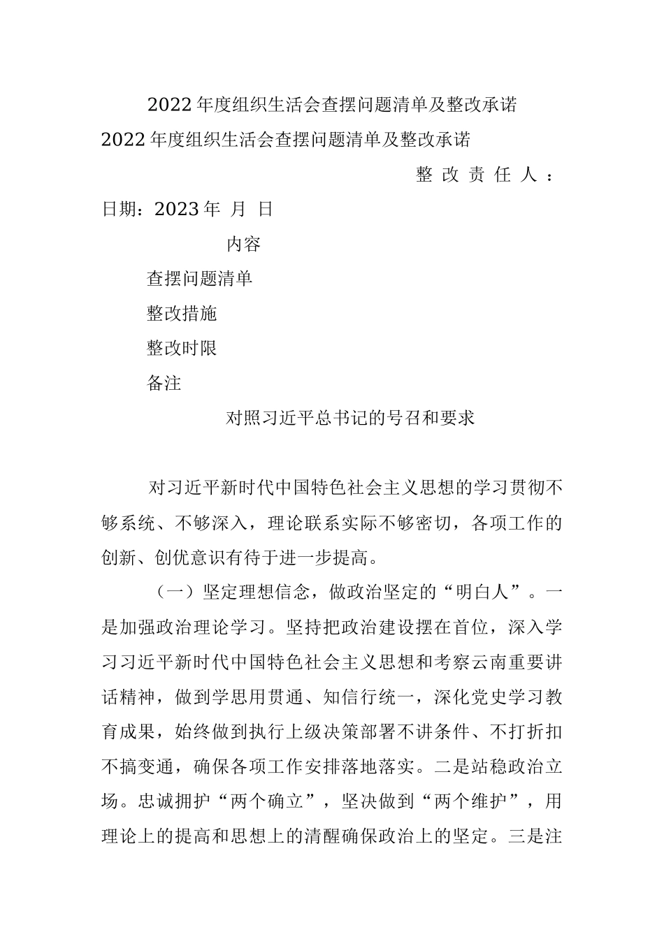 2022年度组织生活会查摆问题清单及整改承诺.docx_第1页