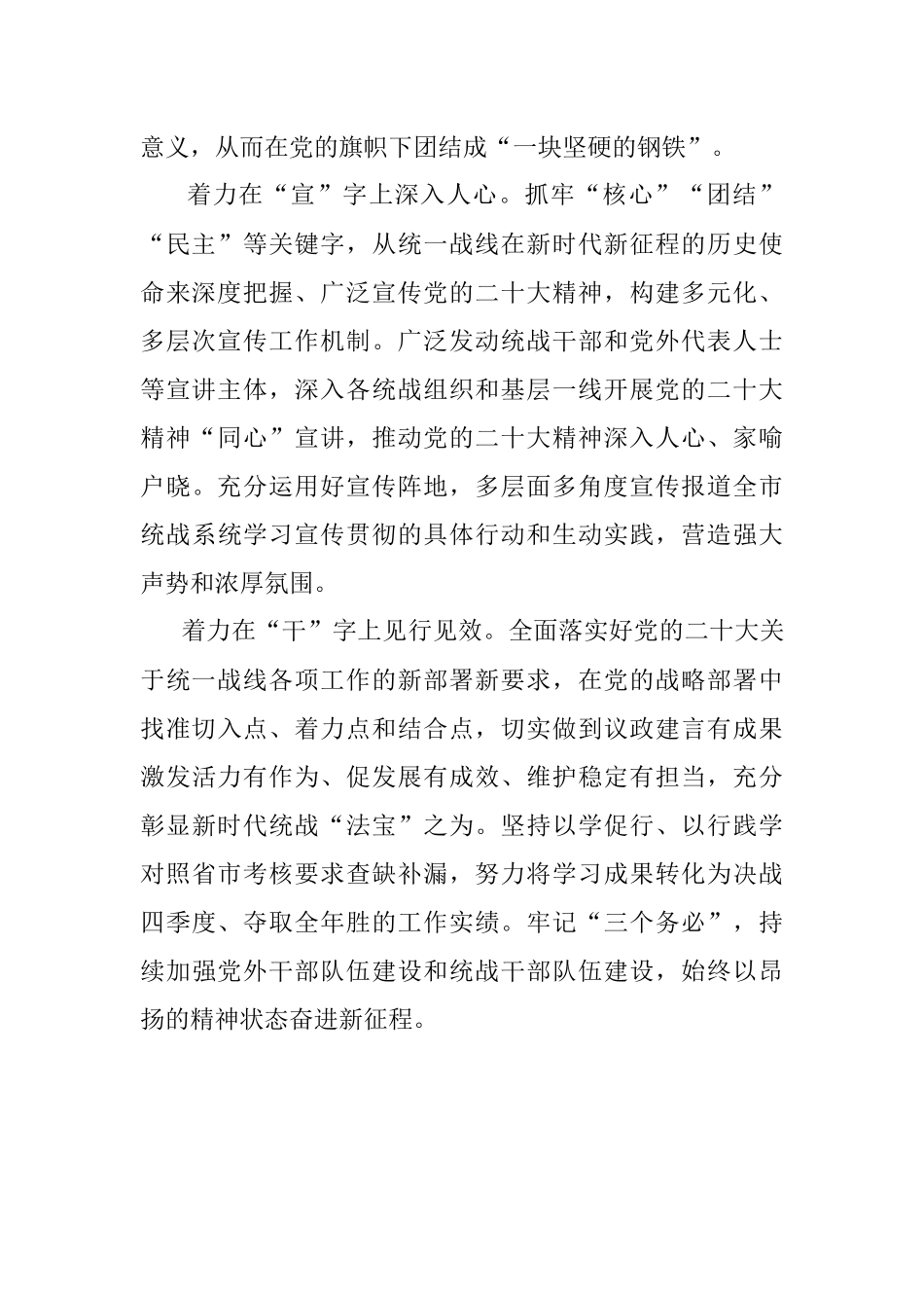 20d心得体会（统战部长）.docx_第2页