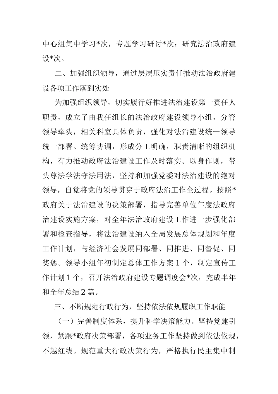 2023年法治政府建设履行第一责任人述法报告.docx_第2页
