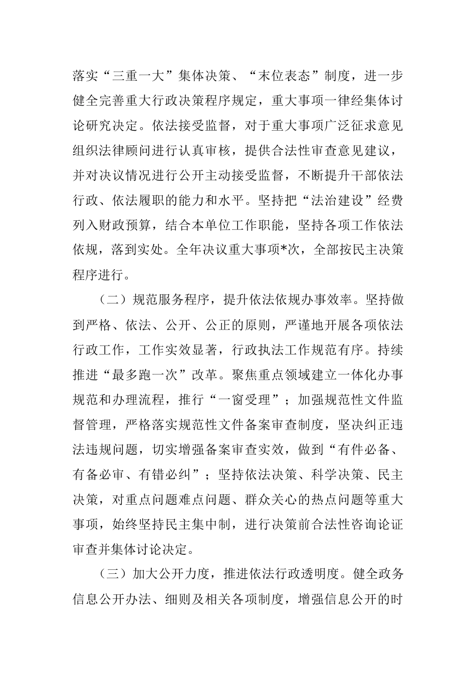 2023年法治政府建设履行第一责任人述法报告.docx_第3页