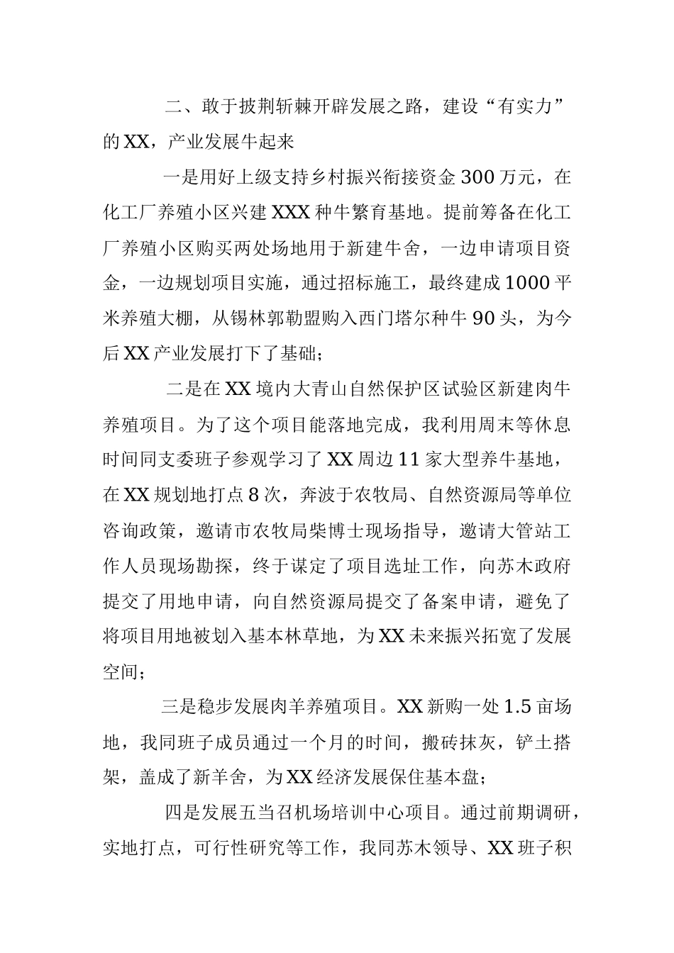 XX村在实施乡村振兴战略工作情况的总结.docx_第2页