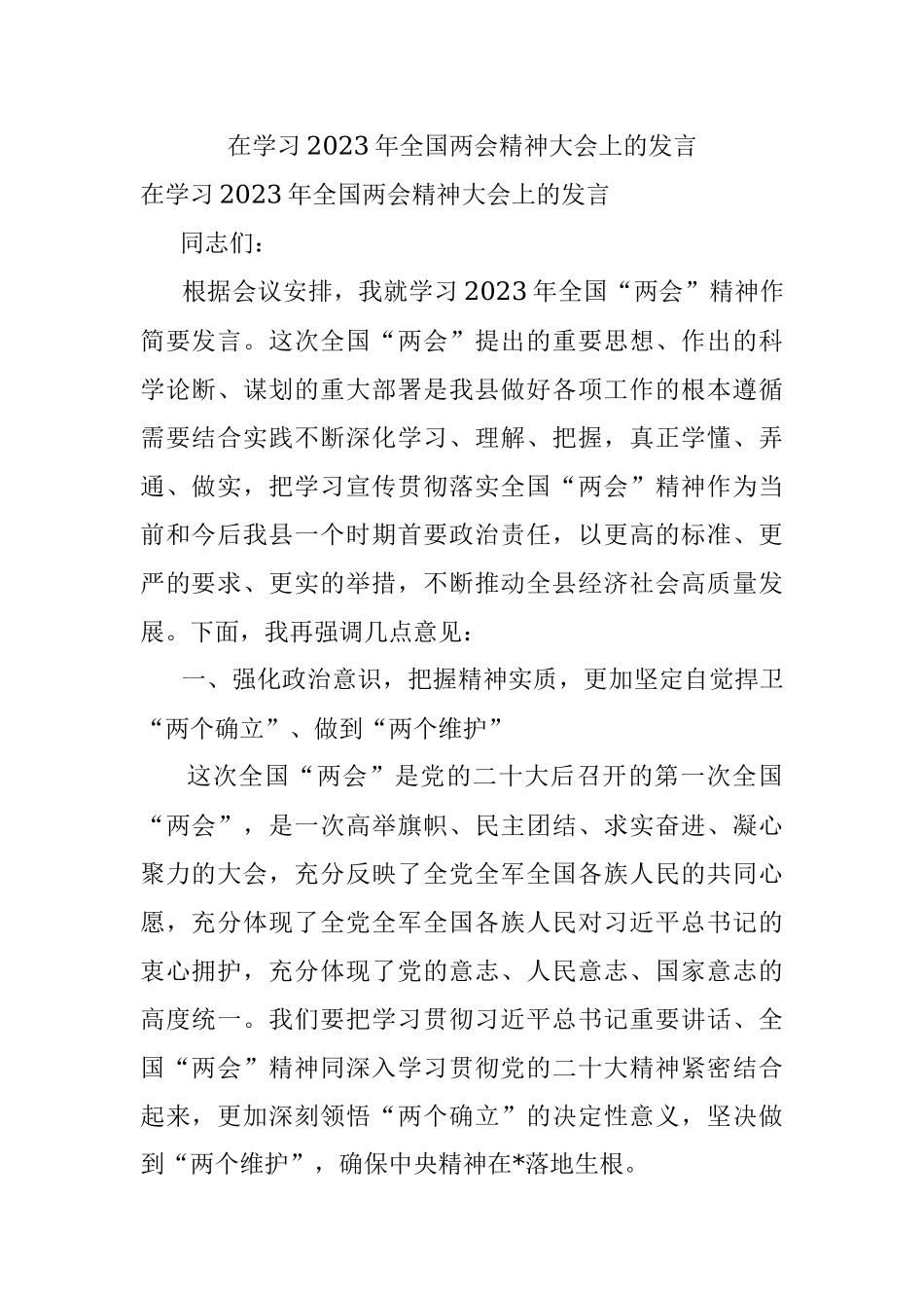在学习2023年全国两会精神大会上的发言.docx_第1页