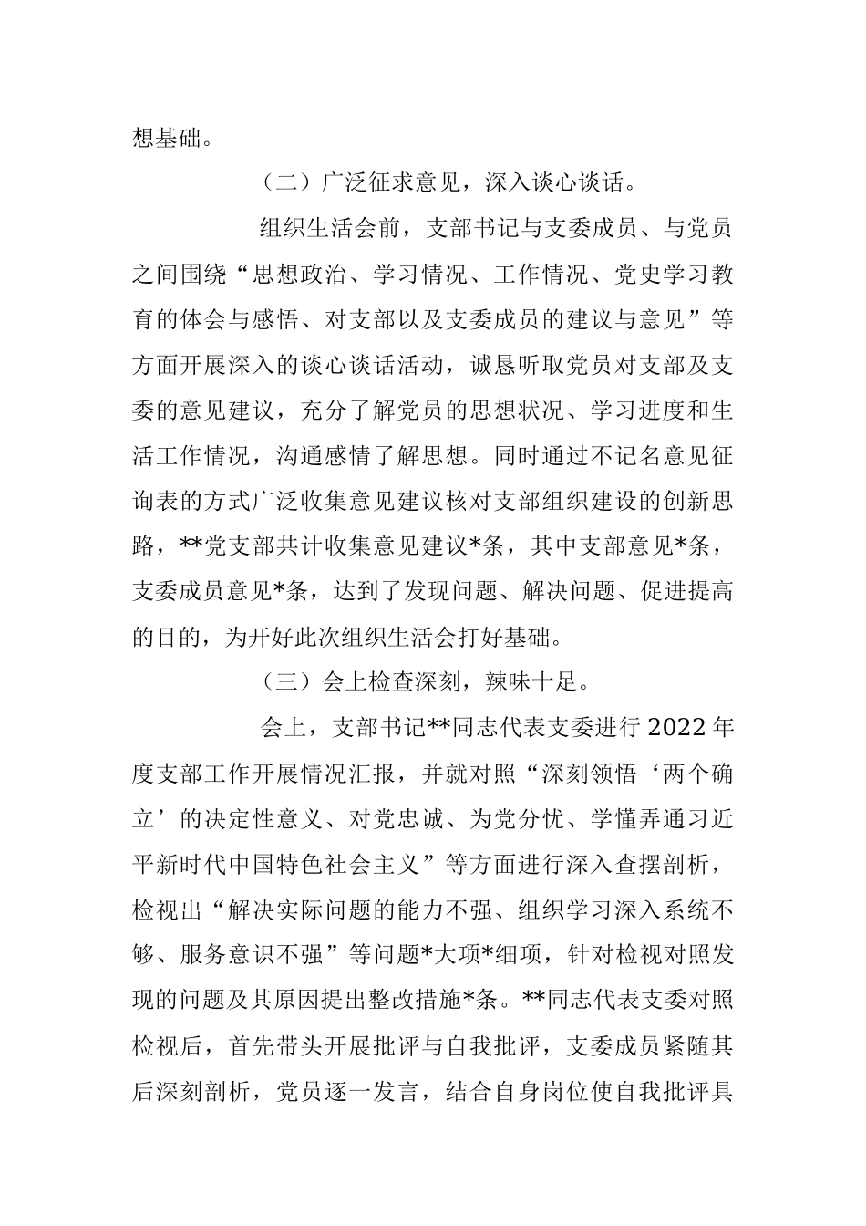 公司党支部202X年度组织生活会召开情况的报告范文.docx_第3页