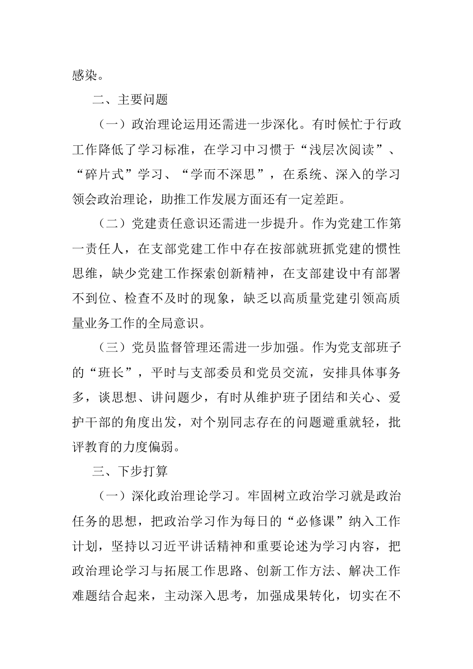 2021党支部书记抓党建工作述职报告.docx_第3页
