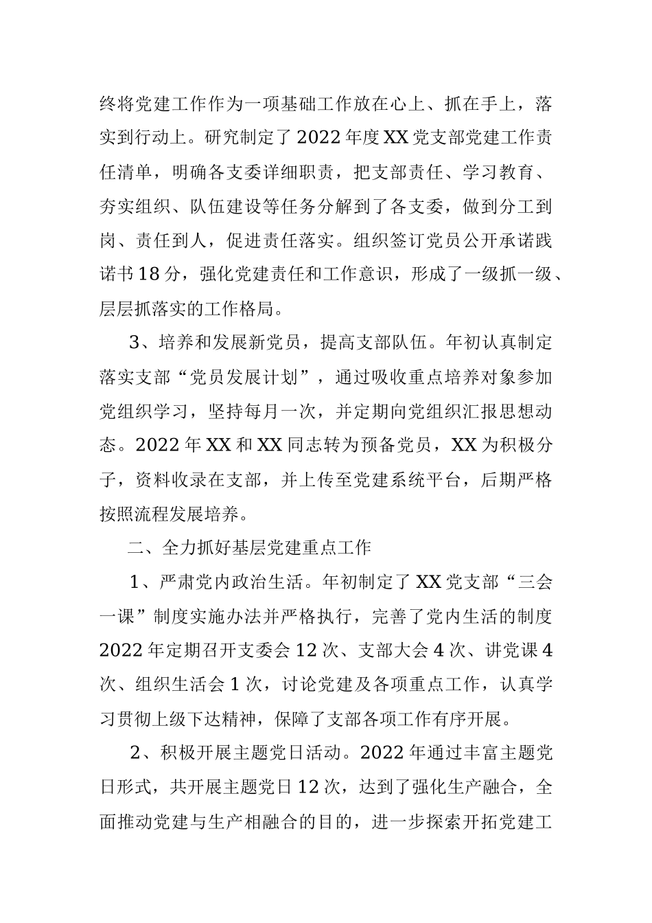 2022年XX党支部书记述职报告.docx_第2页