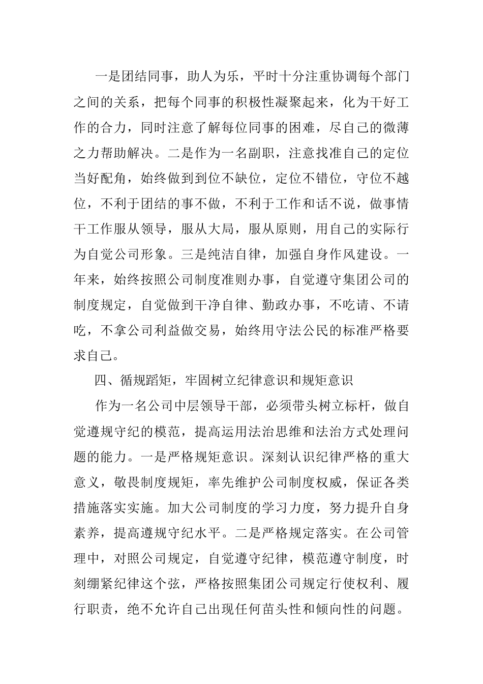 2022年领导个人述职报告（副职）.docx_第3页