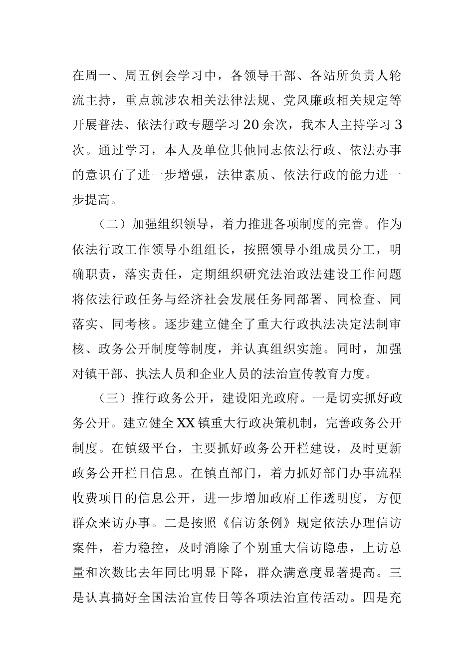 20XX年XX镇党委副书记、镇长述法报告.docx_第2页
