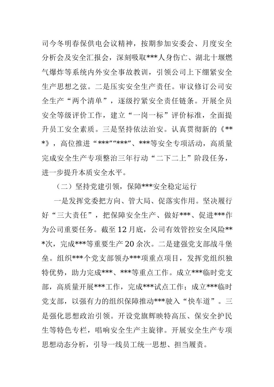 公司党委书记2021年抓安全工作述职报告.docx_第2页
