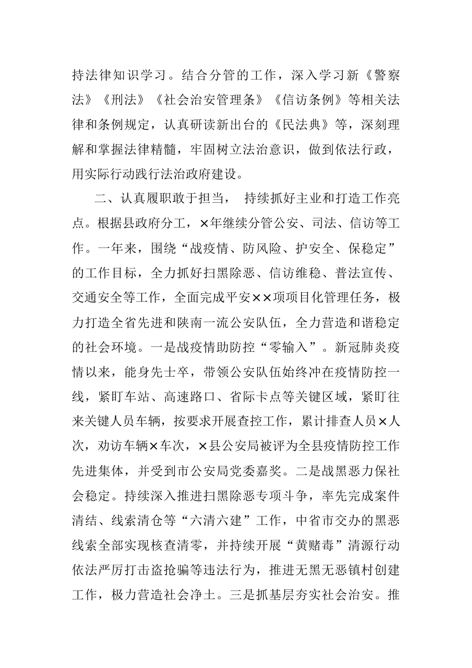 县政府副县长、公安局长述职述廉述效报告.docx_第2页