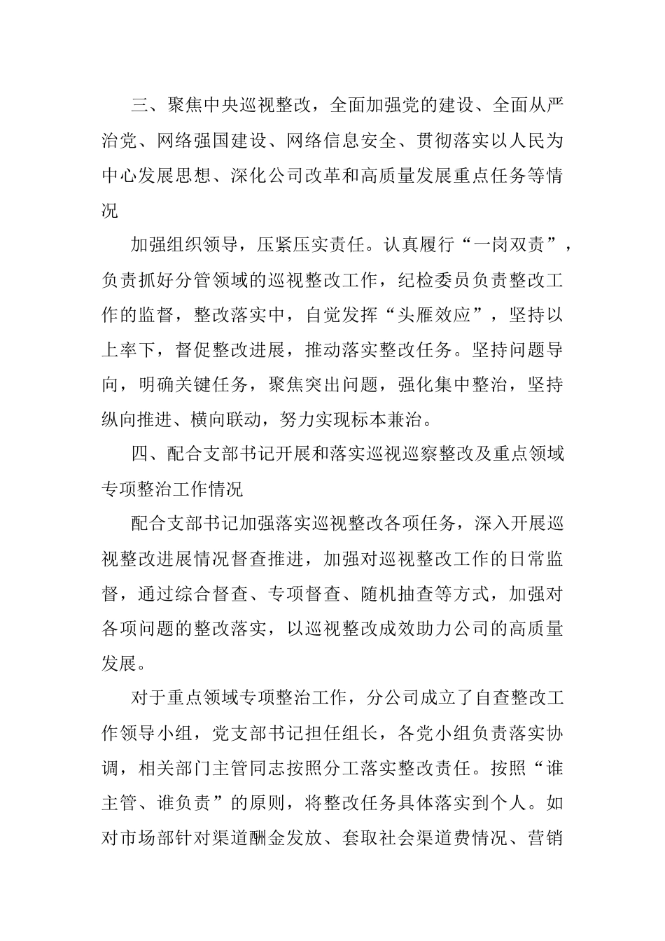 纪检委员落实全面从严治党主体责任情况报告.docx_第3页