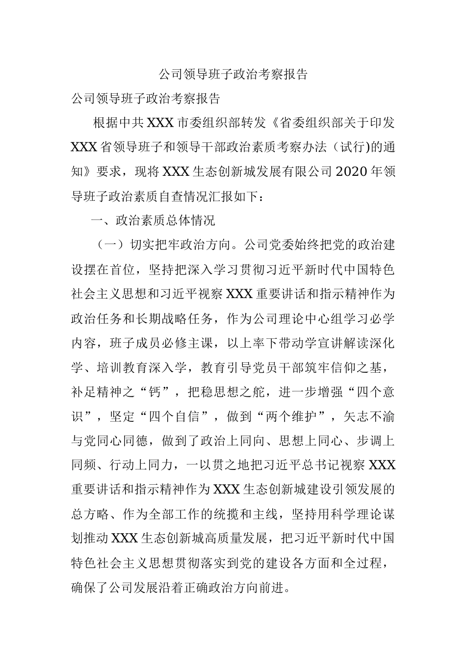 公司领导班子政治考察报告.docx_第1页