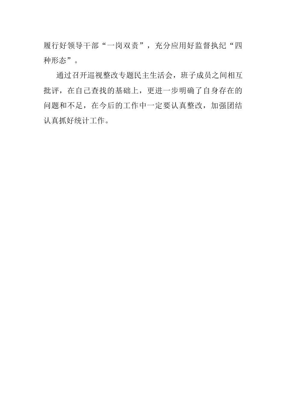 县统计局党员领导干部巡视整改专题民主生活会情况报告.docx_第2页