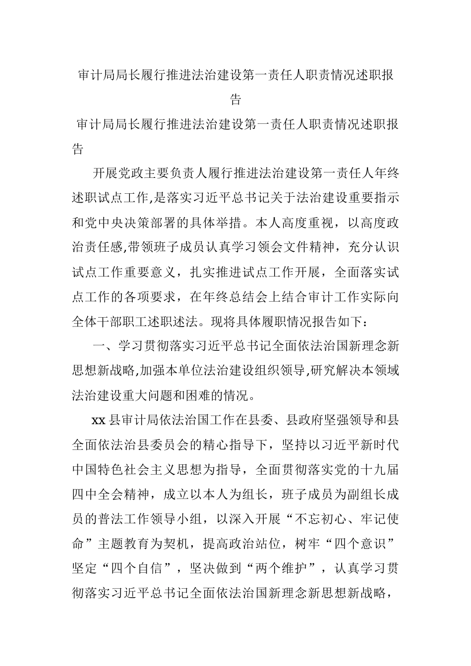 审计局局长履行推进法治建设第一责任人职责情况述职报告.docx_第1页