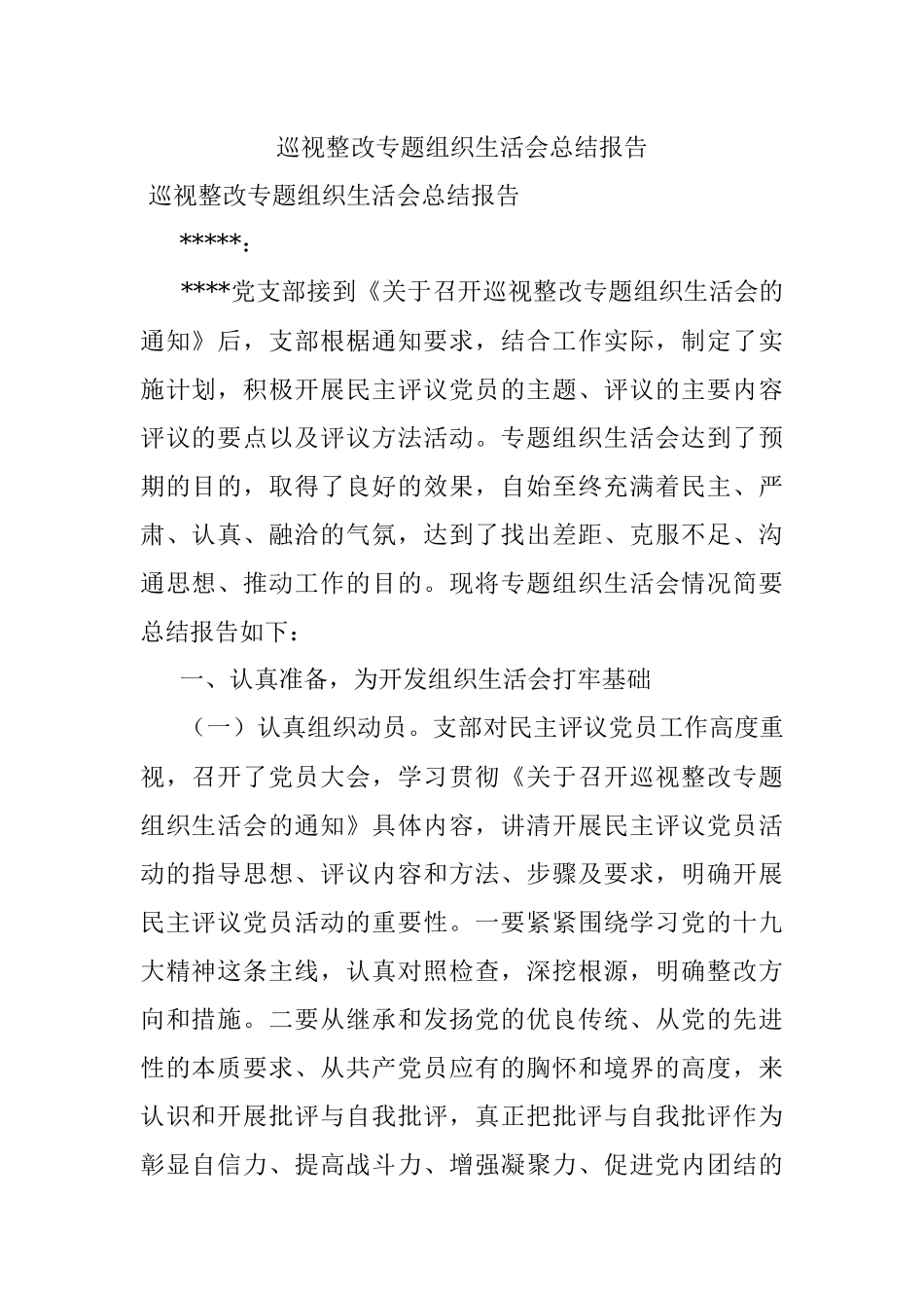 巡视整改专题组织生活会总结报告.docx_第1页