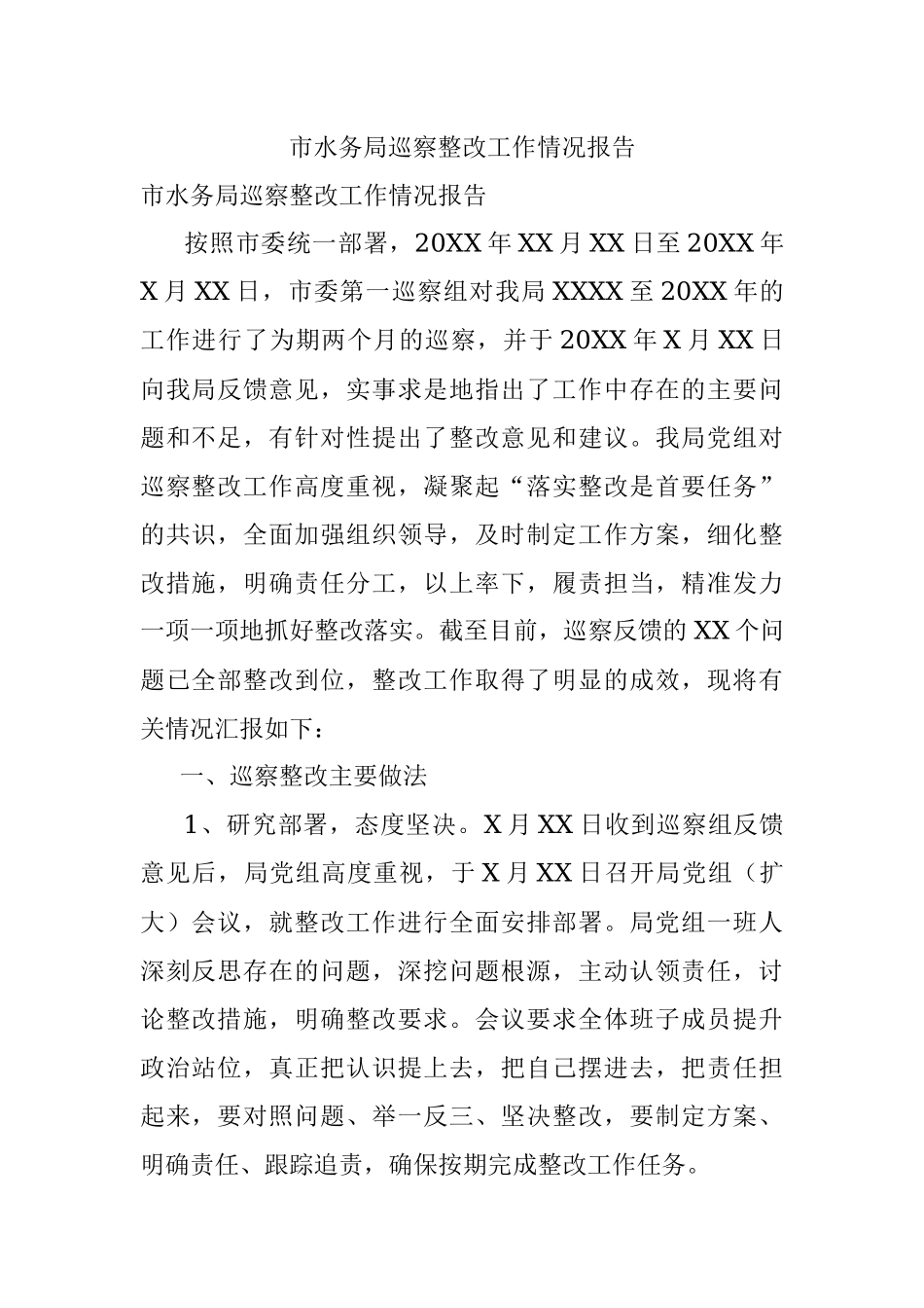 市水务局巡察整改工作情况报告.docx_第1页