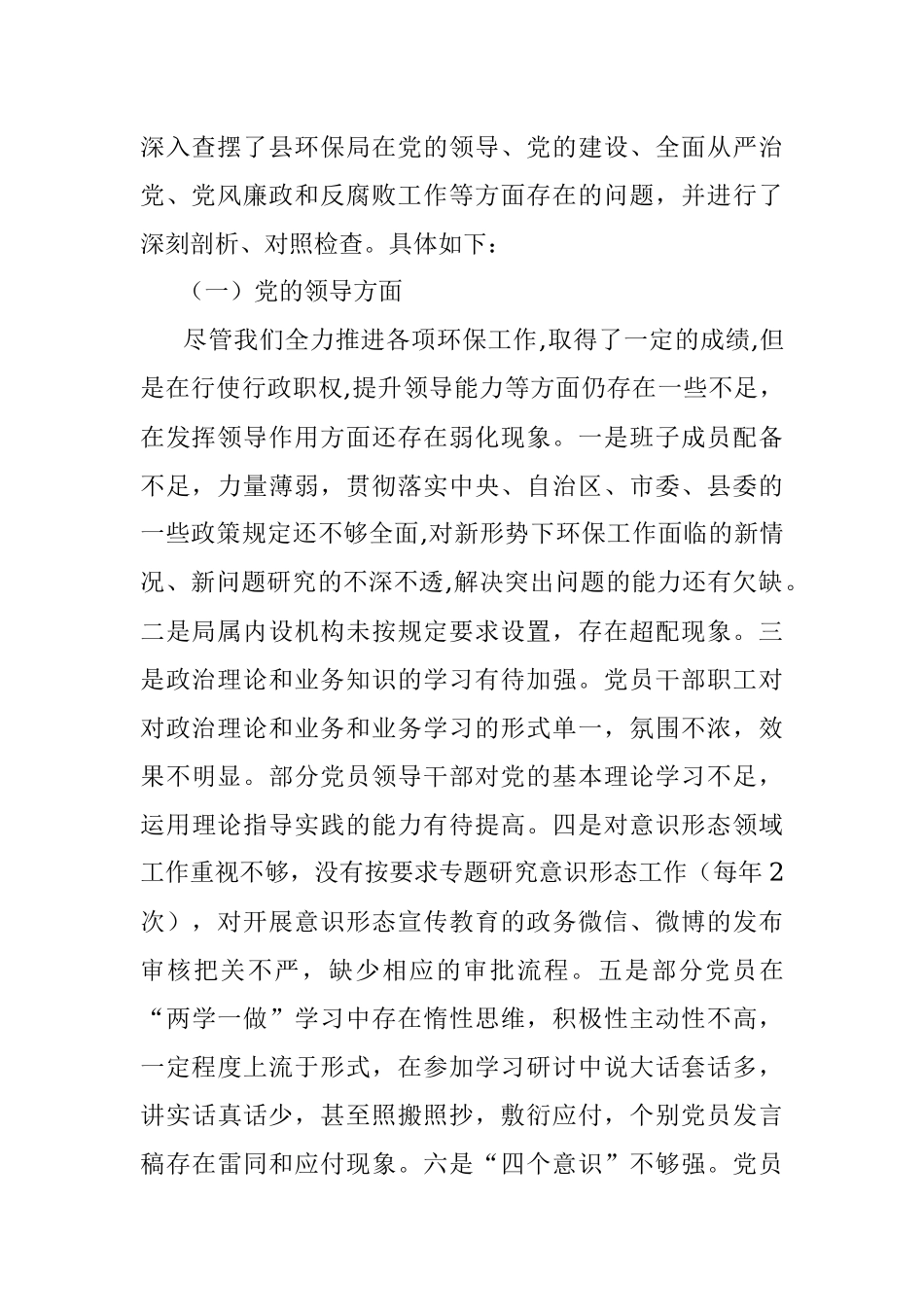 环保局巡察整改专题民主生活会班子发言材料.docx_第2页