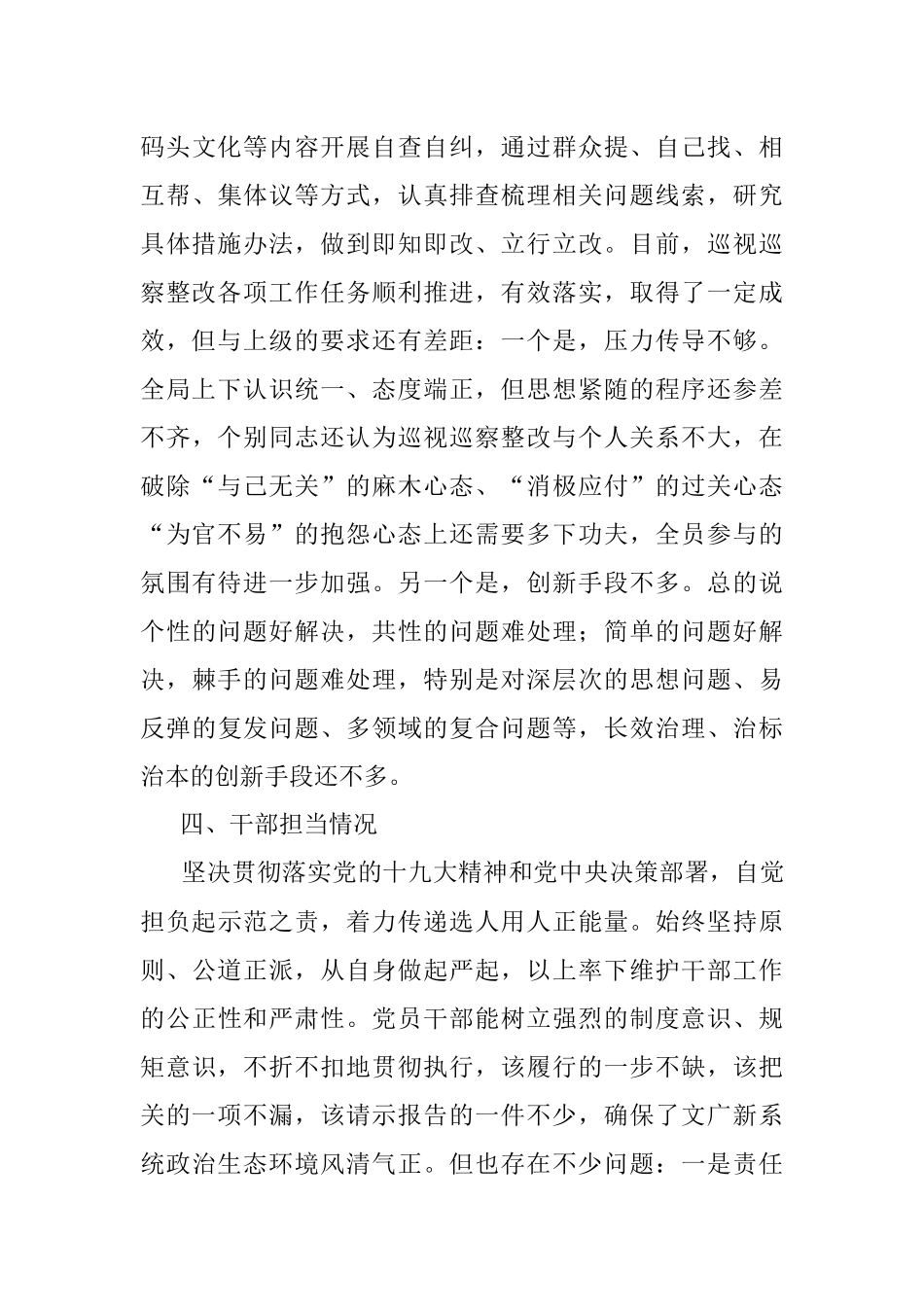 选人用人工作自查报告（范文）.docx_第3页